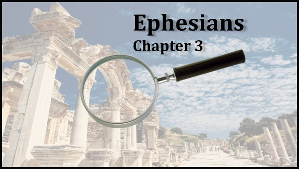 Eph3 large