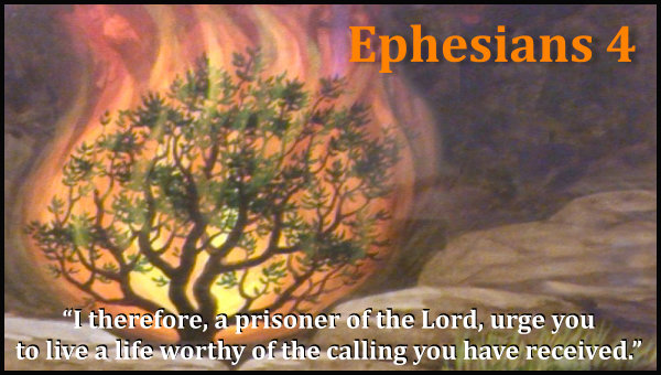 Eph4a large