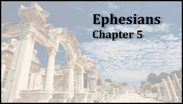 Eph5 large