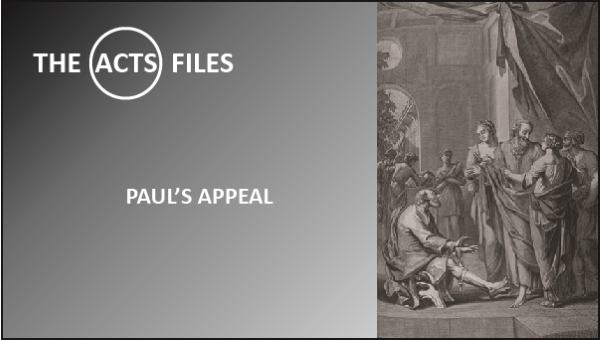 PaulsAppeal large